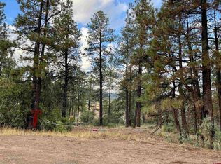 974 W View Rd, Pagosa Springs, CO 81147