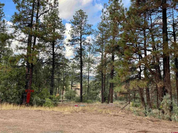 974 West View Road, Pagosa Springs, CO 81147