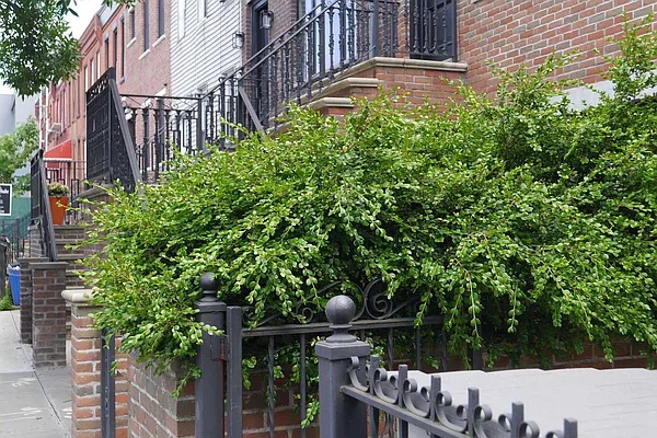 Rented by Avenue Sotheby's International Realty | media 21