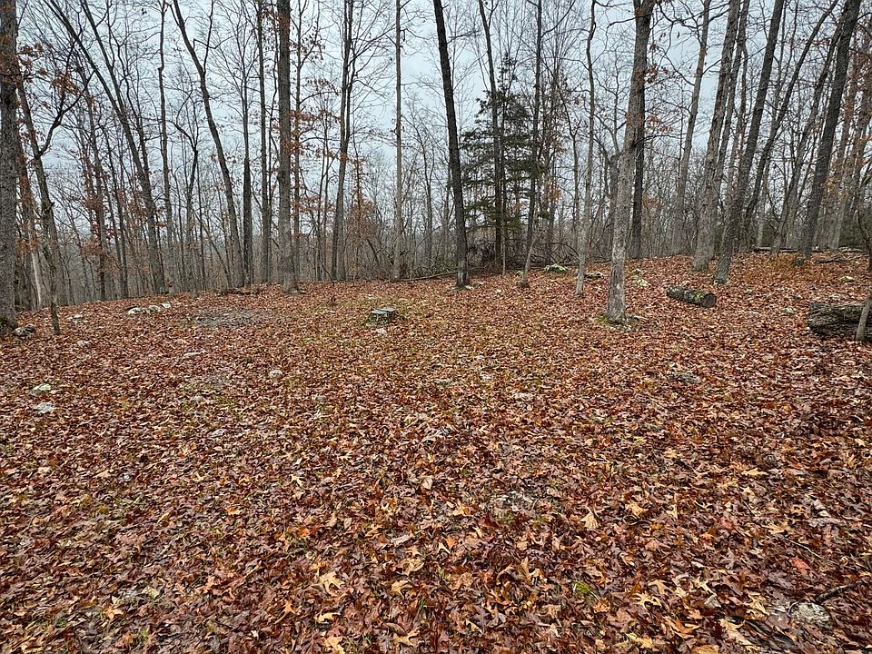 2nd image of 000 County Road 319
