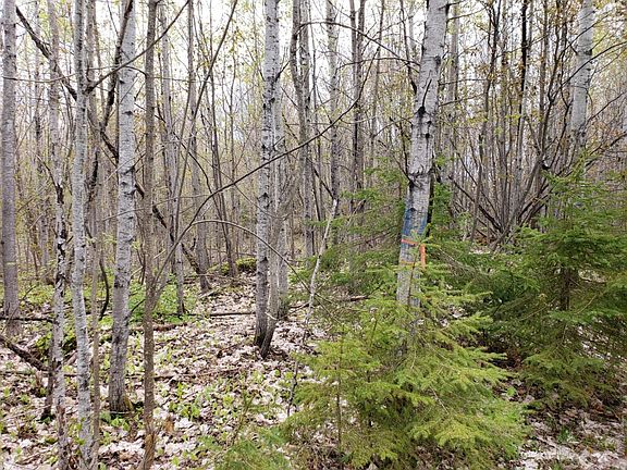 5th image of Off Other 247 Acres #247 Acres