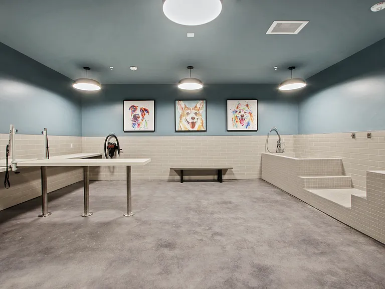 Pet spa with wash stations