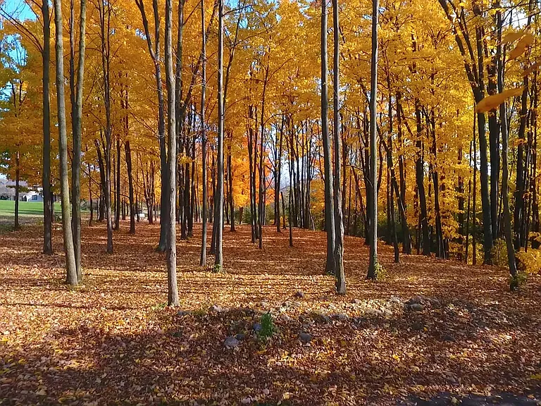 Beautiful Grounds