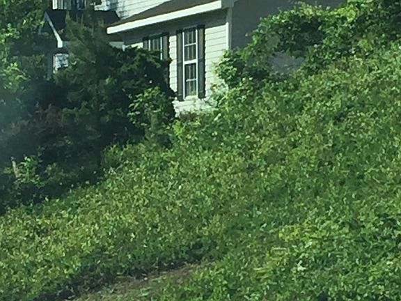 2nd image of 119 Maple Creek Dr