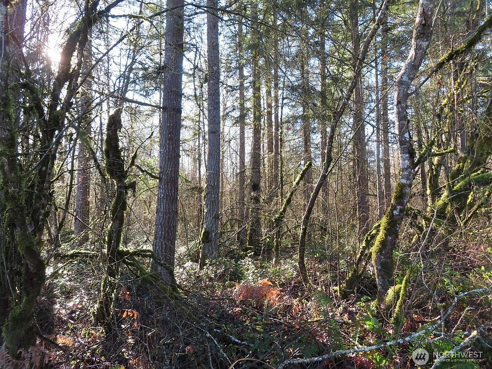 1st image of 115 Campground Lane