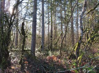 115 Campground Lane, Winlock, WA 98596