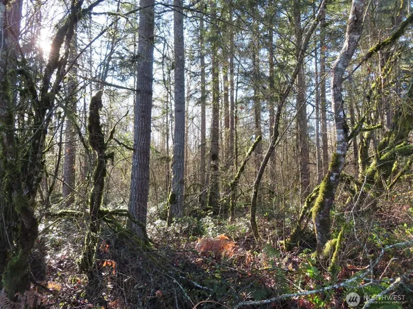 115 Campground Lane, Winlock, WA 98596