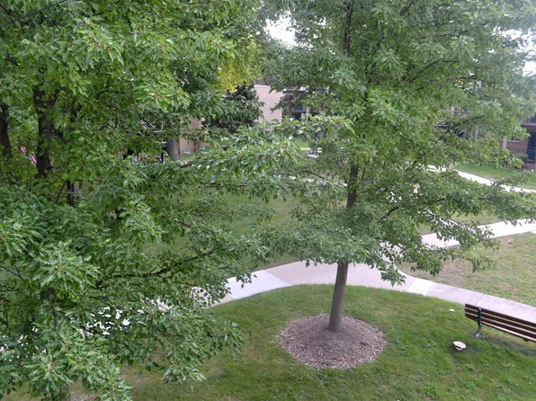 607 E Prospect Ave, Mount Prospect, IL 60056