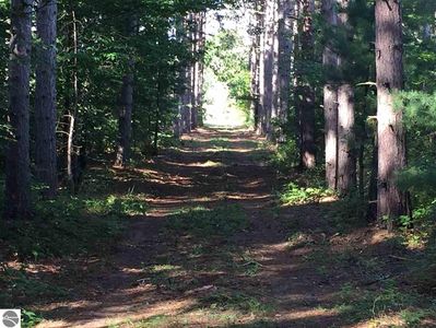00 M37, Mesick, MI, 49668