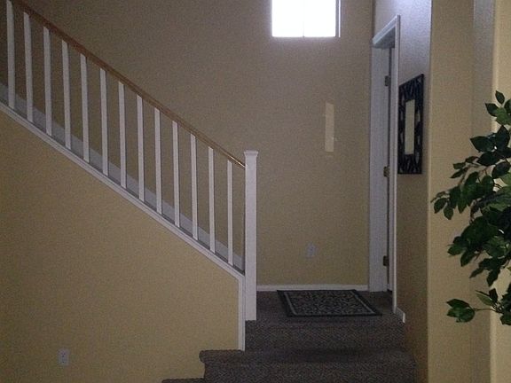 3rd image of 2463 Tribeca St
