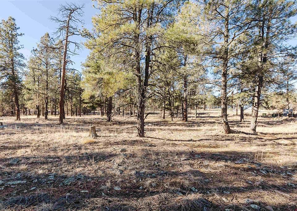 1st image of 16 S Squaw Canyon Place