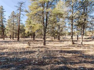16 S Squaw Canyon Pl, Pagosa Springs, CO 81147