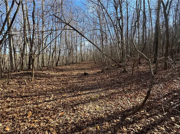 1 Plumlee Rd, Compton, AR 72624