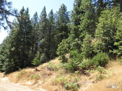 23480 Fort Ross Road, Cazadero, CA, 95421