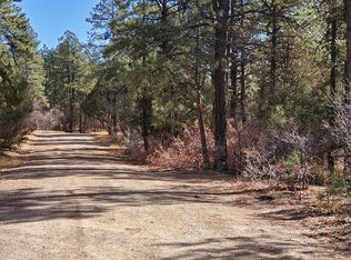 13 Round Ct, Pagosa Springs, CO 81147