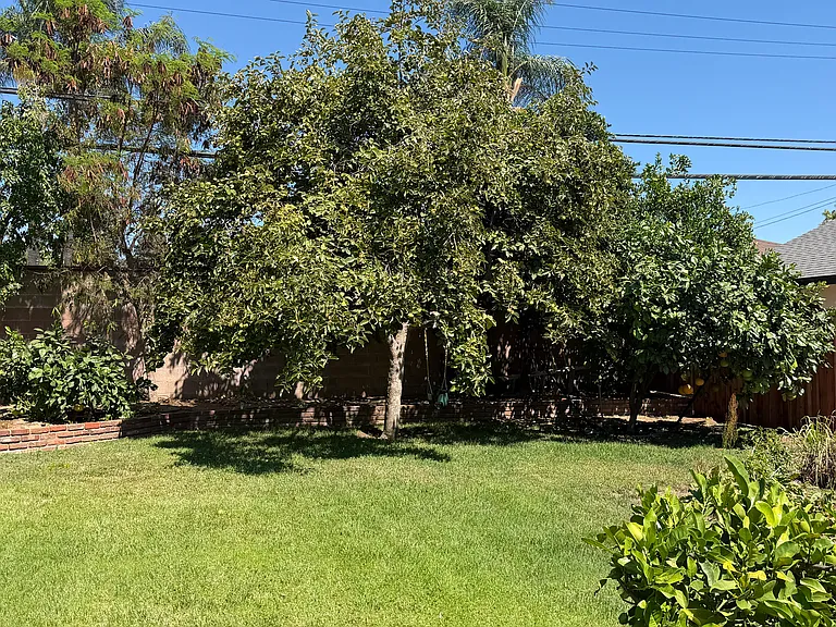 1516 Wells Ave #A — Photo 13