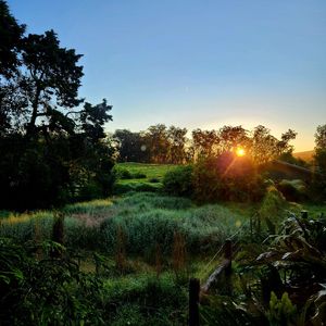 64-823 Uikeoni St, Kamuela, HI, 96743