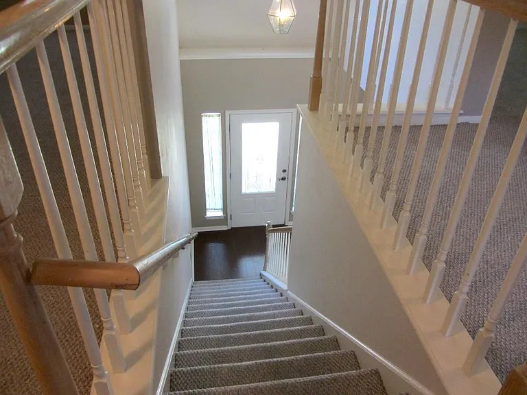 1815 Hickory Ridge Cv — Photo 15