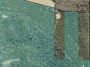 PARCEL 6 Sid Hayes Rd, Jay, FL 32565