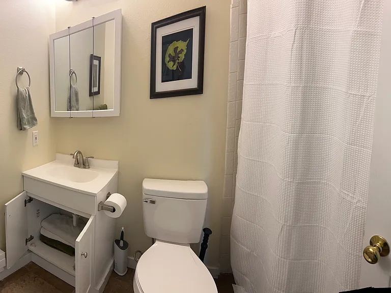 Main bathroom