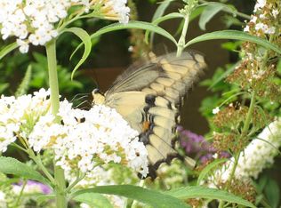 179 Deer Run Dr NE, Ada, MI 49301