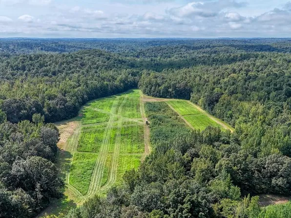 5650 Sulphur Creek Rd, Big Sandy, TN 38221