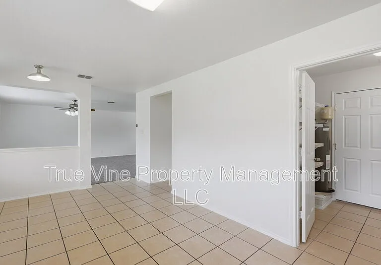 136 Texas Mulberry — Photo 9