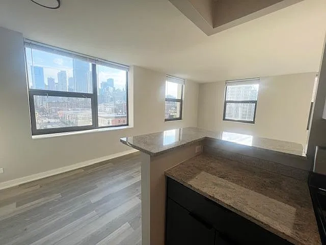 70 W Huron St #902 — Photo 6