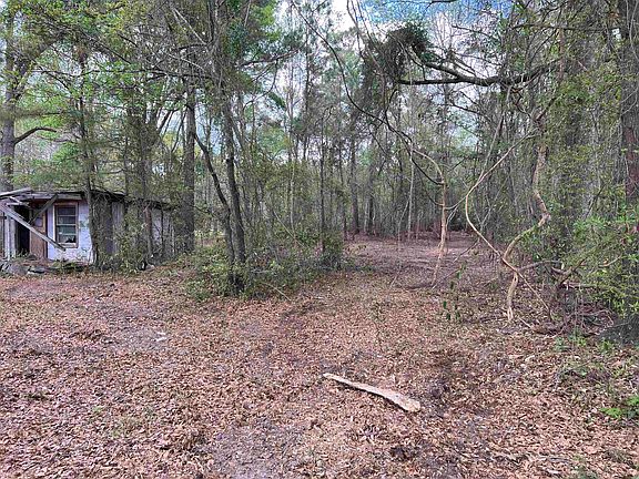 4th image of 11094 Old Pee Dee Rd.