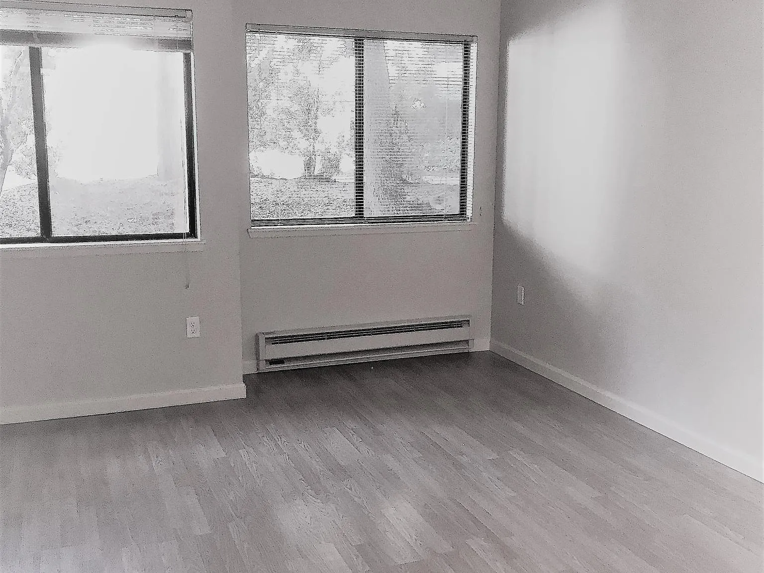 1354 Bellevue Way NE — Photo 3