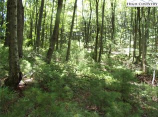 LOT 1 Roe Hunt Rd, Jefferson, NC 28640