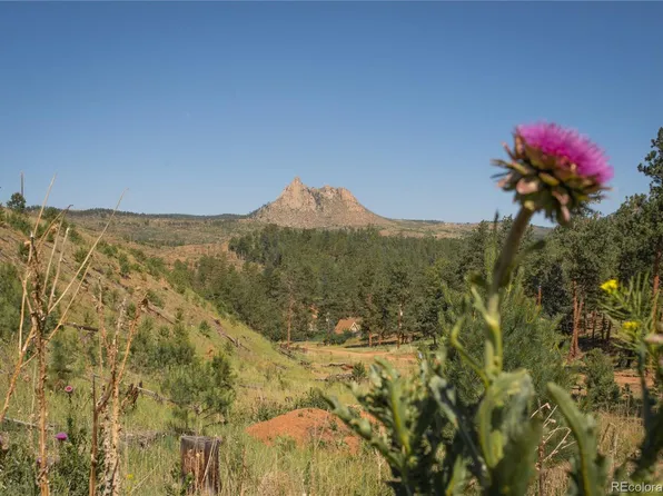 14800 Evergreen Place, Woodland Park, CO 80863