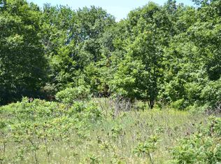 E Swanson Trl, Cedar, MI 49621