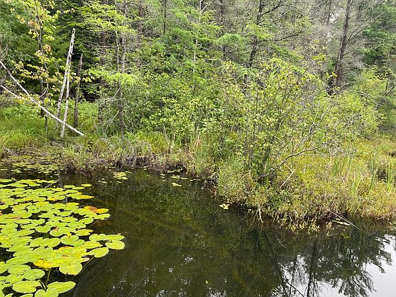 2nd image of Green Bass Cir Lot 18