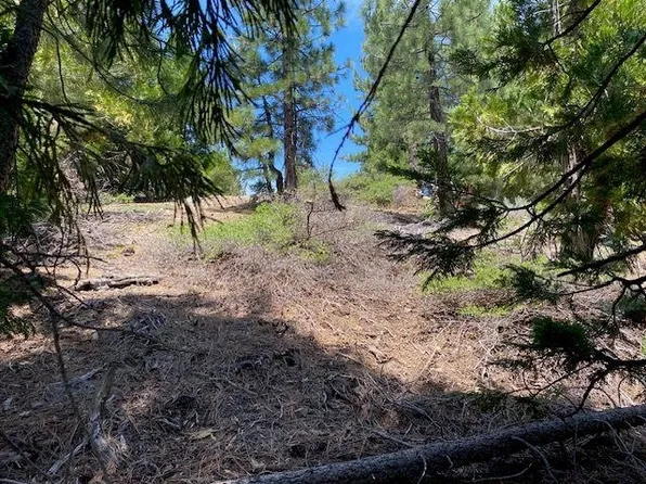 5961 W Bitterbrush Rd, Portola, CA 96122