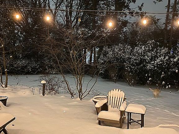 private fenced yard