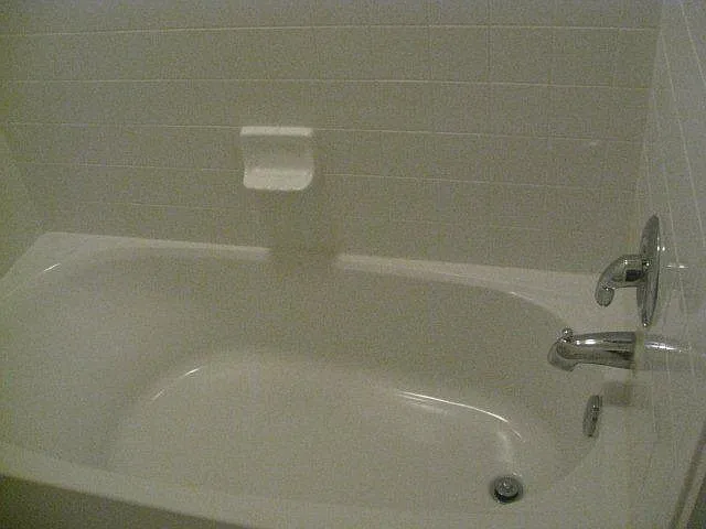 115 Elmira Ln — Photo 10