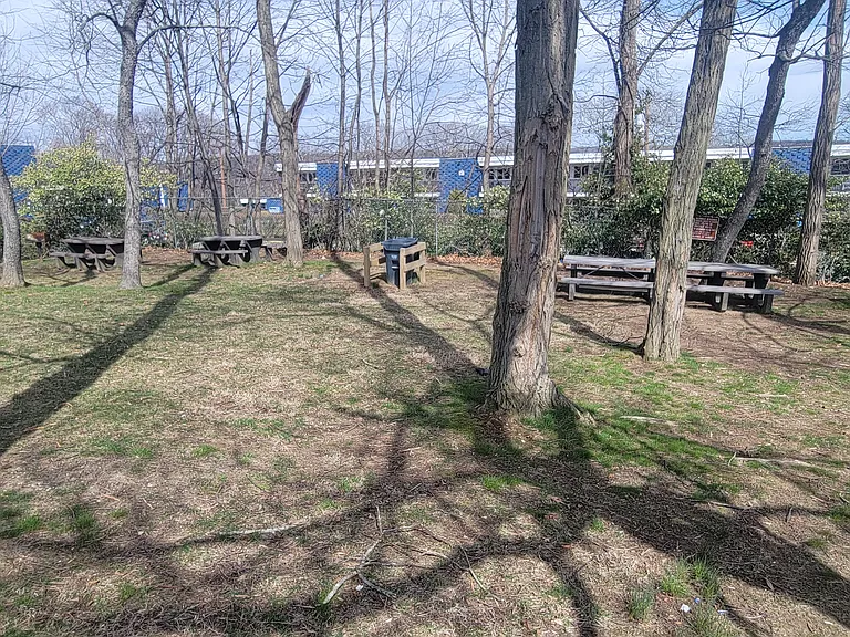 Grilling, picnic and bench area pic#1