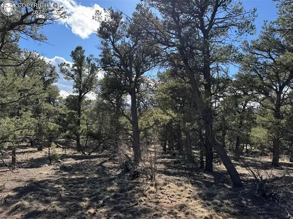 Tbd 14th Trl, Cotopaxi, CO 81223