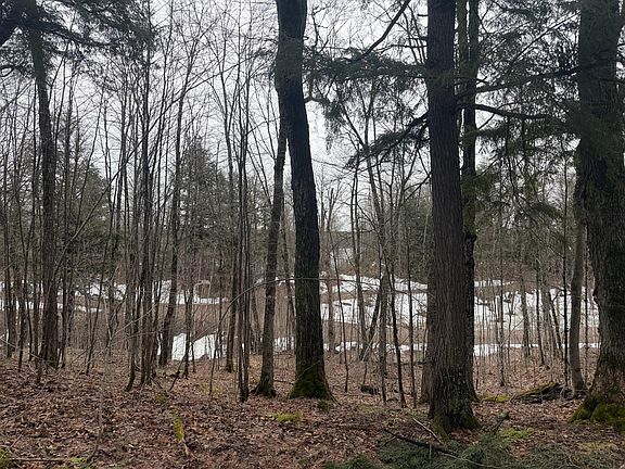 3rd image of Unit Chaney Lake Rd #18