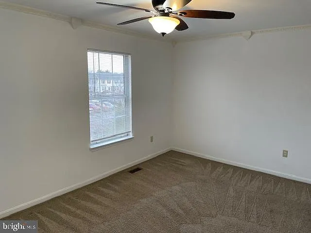 6673 Canada Goose Ct — Photo 10