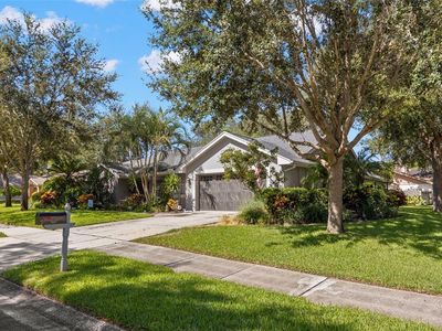 2760 Beagle Path Way, Palm Harbor, FL, 34683