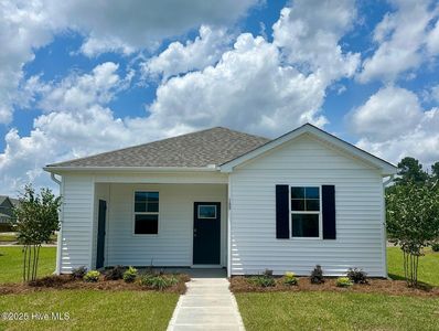 189 N Atlantic Avenue Lot 133, Wilmington, NC, 28411