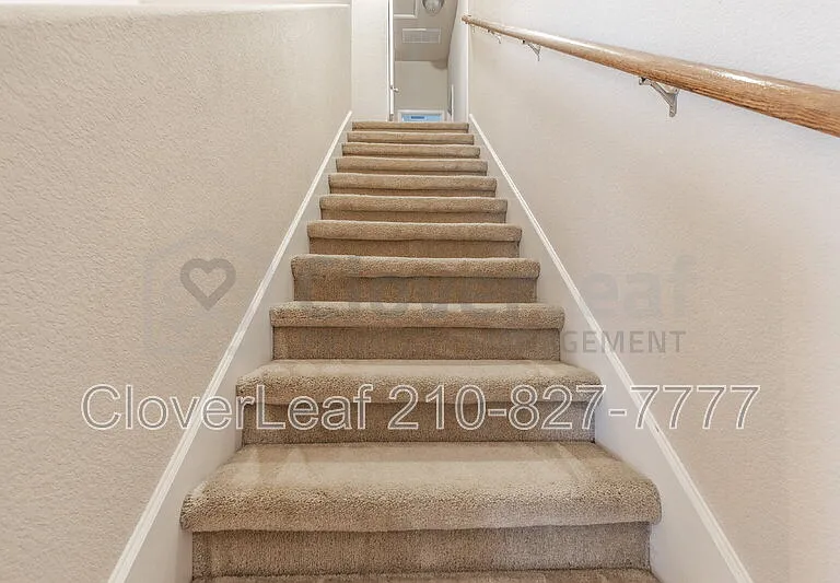 3734 Ox Eye Daisy — Photo 20