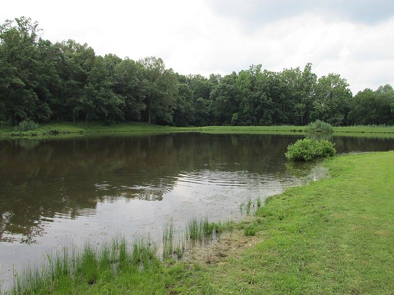 2nd image of 21872 Amos Rd