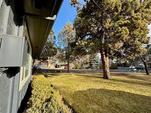 Greenspace in front of the unit. The shade under the pictured juniper is a favorite hangout for neighborhood deer.