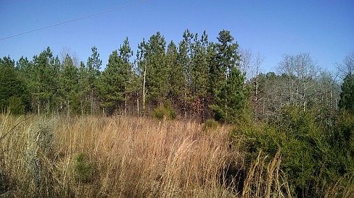 1st image of 110 Bear Creek Trl