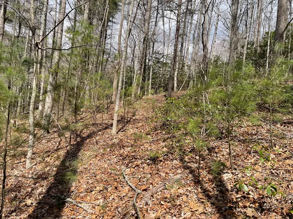 0 Sink Valley Rd, Butler, TN 37640