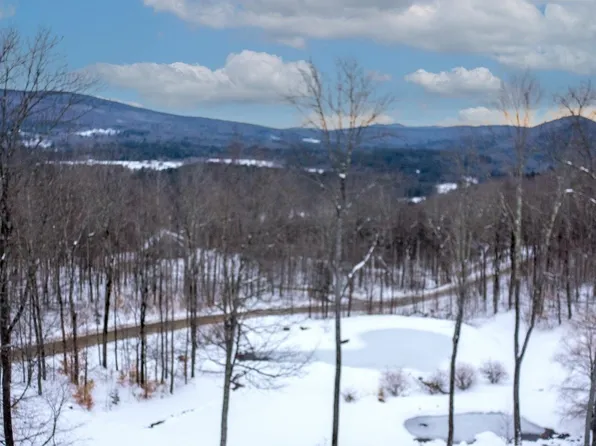 95 Summit Trail Road, Weston, VT 05161
