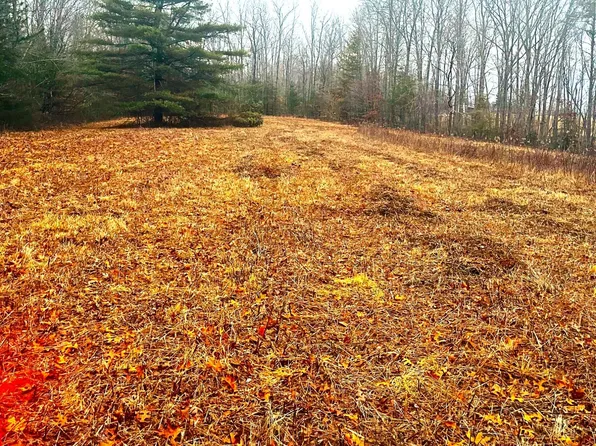 0 Old Gordon Rd #16.55, Grandview, TN 37337